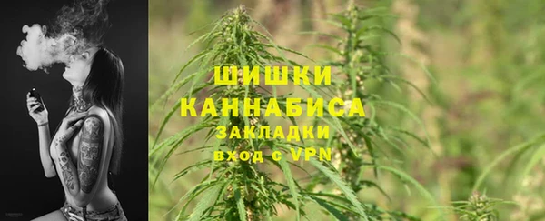 хмурый Арсеньев