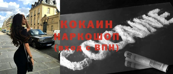 хмурый Арсеньев