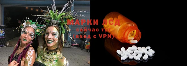 хмурый Арсеньев
