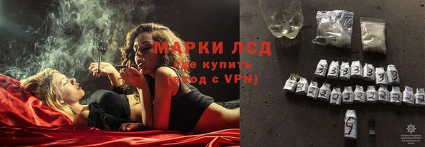 хмурый Арсеньев