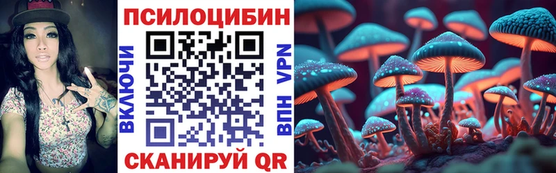 где купить   Серов  кракен онион  Галлюциногенные грибы Psilocybine cubensis 