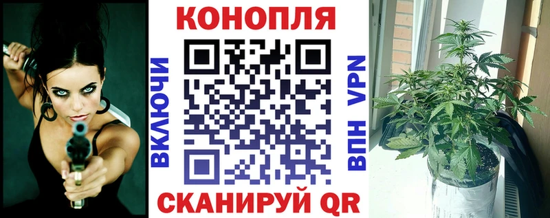 купить закладку  Серов  Каннабис MAZAR 